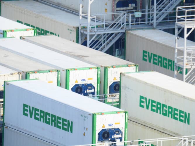Reefer Containers in de Voedselindustrie